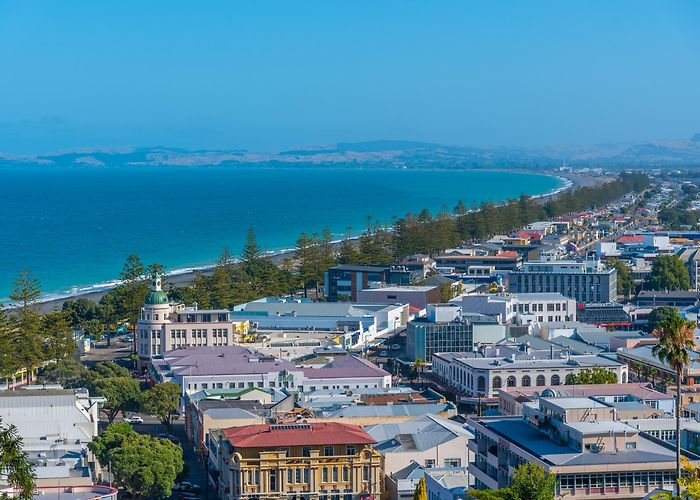 Napier photo