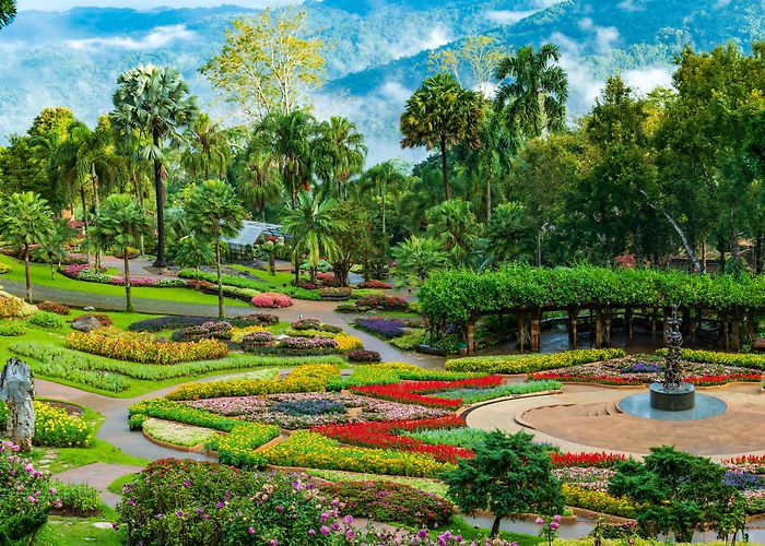 Chiang Rai photo