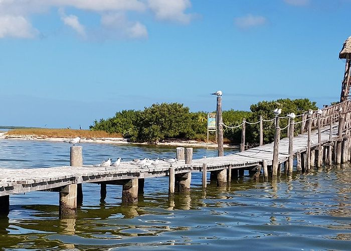 Isla Holbox photo