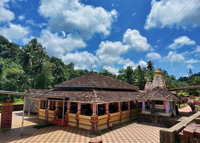 Malvan photo