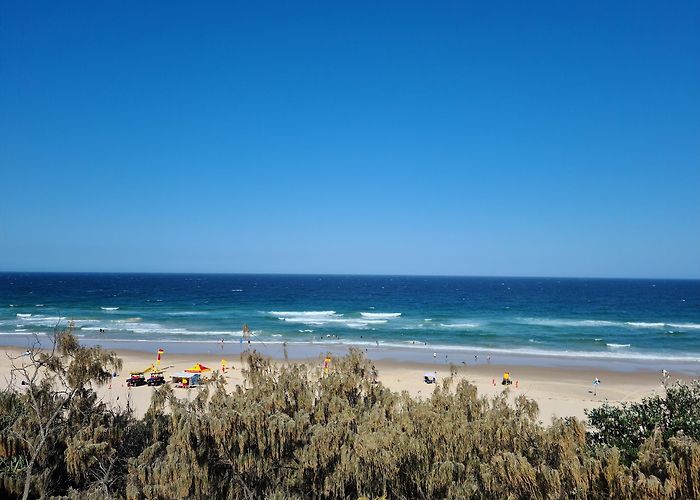 Sunshine Beach photo
