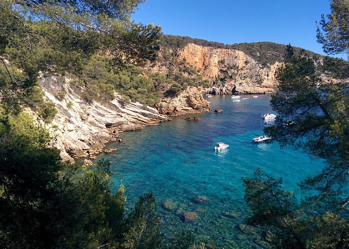 Saint-Cyr-sur-Mer photo