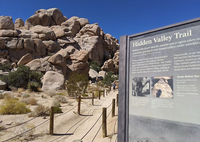 Joshua Tree photo