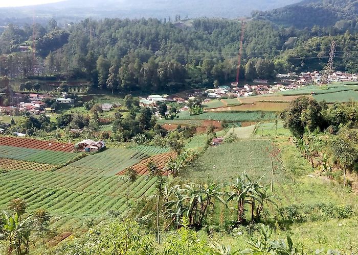 Cipanas (Bogor) photo