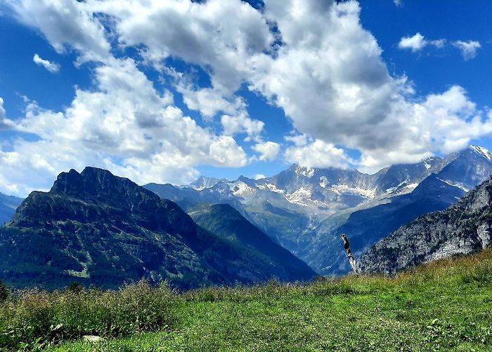 Simplon photo