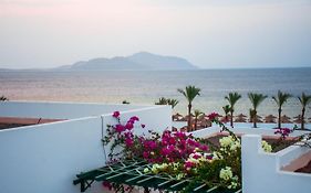 Coral Beach Resort Montazah (Adults Only) Şarm El-Şeyh Exterior photo