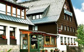 Ferienhotel Muehlleithen Klingenthal Exterior photo