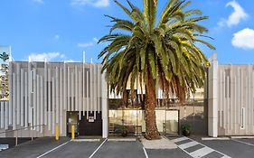 Areca Launceston Otel Exterior photo