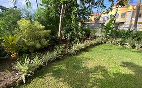 Marveys Place Apartment Castries Exterior photo