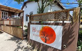 Hostal Blood Moon Otel Rio Dulce Town Exterior photo