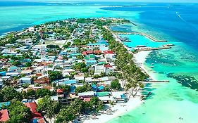 Picnic Inn Maafushi Exterior photo