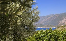 Kaktus Cakil Otel Kaş Exterior photo