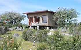 Bubulcus And Bolotas - Off Grid Nature Holiday Home Vimieiro  Exterior photo