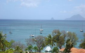 Palm'Studio Anse De Caritan Daire Sainte-Anne Exterior photo