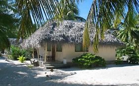 Pension Hotu Otel Tikehau Exterior photo