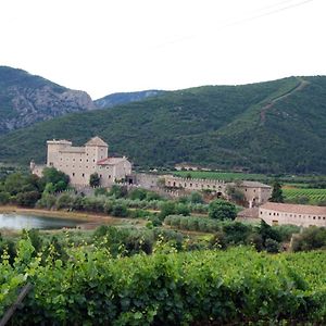 Castell De Riudabella Daire Vimbodi I Poblet Exterior photo