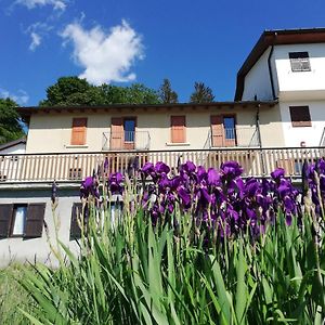 Rifugio Campiglio Otel Dumenza Exterior photo