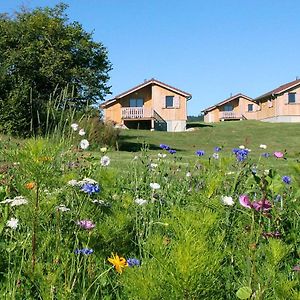 Chalets De Tremontagne 3 Etoiles Nanchez Exterior photo