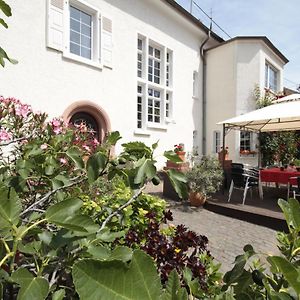 Bio-Weingut, Gaestehaus Und Kraeuterhof Otel Flomborn Exterior photo