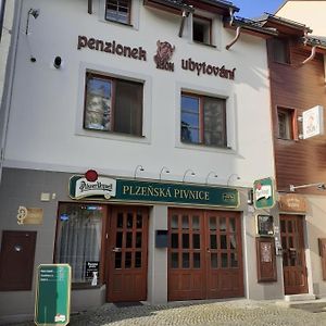 Ubytovani Nad Bisonem Otel Hlinsko Exterior photo