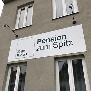 Pension Zum Spitz Otel Seebenstein Exterior photo