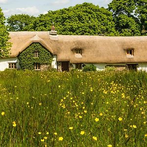 Hay Meadow Farm Bed & Breakfast Beaworthy Exterior photo