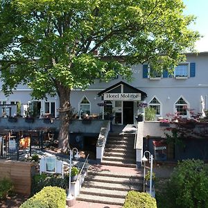 Hotel Restaurant Molitor Bad Homburg vor der Höhe Exterior photo