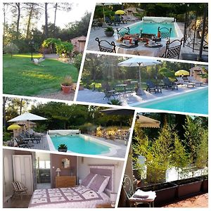 Le Jardin Des Selves Bed & Breakfast Draguignan Exterior photo