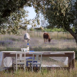 Quinta Dos Doze Sobreiros - Quarto Sol Bed & Breakfast Ferreira Do Alentejo Exterior photo