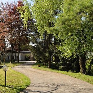 Sasso Di Luna Bed & Breakfast Scanzorosciate Exterior photo