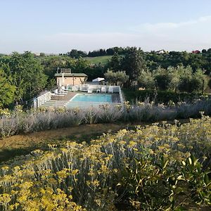 Il Gelso Country House Bed & Breakfast Castorano  Exterior photo