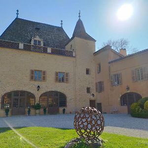 Chateau De La Venerie Bed & Breakfast Denicé Exterior photo