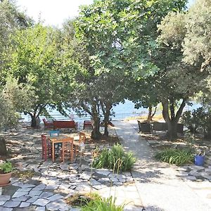 Ada-Art Guesthouse Design Rooms Next To Beach Marmara Adası Exterior photo