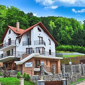 Charming Villa In A Private Mountain Resort Braşov Exterior photo