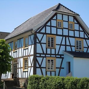 Anno 1772 Bed & Breakfast Dattenfeld Exterior photo