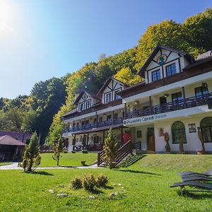 Pensiunea Ciprian Otel Curtea de Argeş Exterior photo