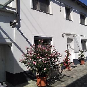 Ferienhaus Fam. Bisgen Daire Niederkirchen bei Deidesheim Exterior photo