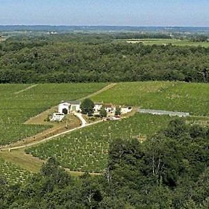 Domaine De Grand Homme Otel Blasimon Exterior photo