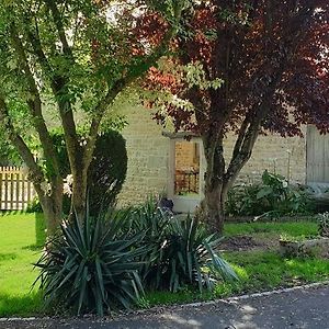 L'Oasis Des Marais La Maison Du Marais Bords Exterior photo