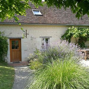 Gite Calme Au Coeur De Vignoble Bio Avec Piscine, Proche Azay-Le-Rideau - Fr-1-381-238 Villa Brizay Exterior photo