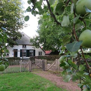 B&B De Willemshoeve Wageningen Exterior photo