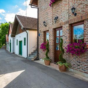 Podrumi Kolar "Suza Baranje" Konuk evi Kneževi Vinogradi Exterior photo