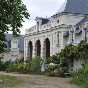 L'Orangerie Du Chateau - Le Nid - Gite 2 Personnes Daire Brain-sur-Allonnes Exterior photo