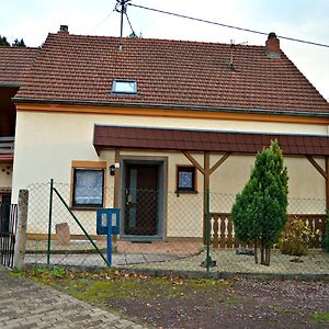 Ferienhaus-Vogelsfelsen Daire Saarholzbach Exterior photo