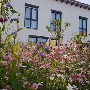 Gaestehaus 26/2 Otel Bad Urach Exterior photo