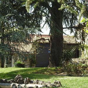 La Blanchisserie Bed & Breakfast Le Puy-Saint-Bonnet Exterior photo