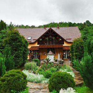 Casa Lucia Otel Damuc Exterior photo