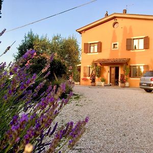 Locanda Della Lavanda Otel San Clemente  Exterior photo