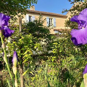 Le Petit Cochon Bed & Breakfast Valence-sur-Baïse Exterior photo