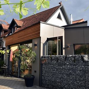 Winzerhof & Weincafe Guempelein Daire Willanzheim Exterior photo